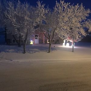 Meet your Posher, Carmen